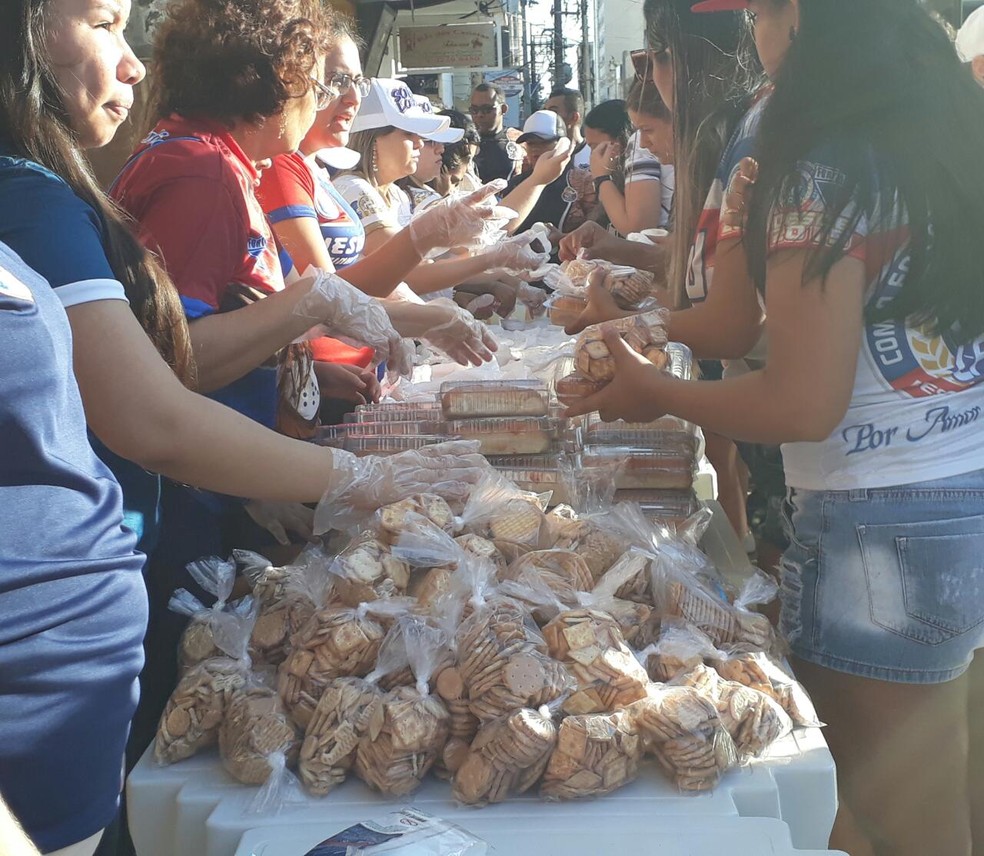 Torcedoras do Leão (Foto: Divulgação / Torcedoras do Leão)