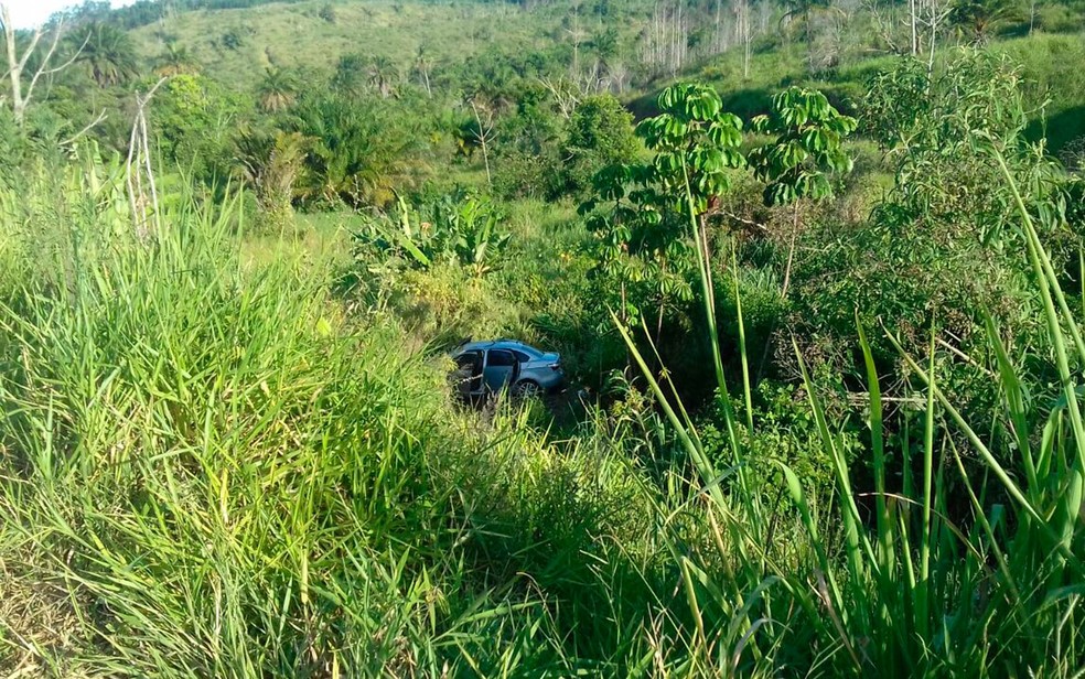 Carro caiu em ribanceira após condutora perder controle do veíulo na BR-101, na Bahia (Foto: Divulgação/PRF-BA)