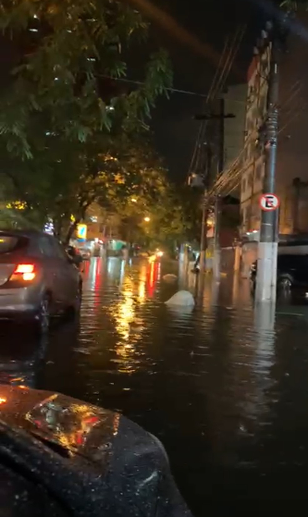 Outro ponto da Zona Sul com carros no alagamento — Foto: Reprodução