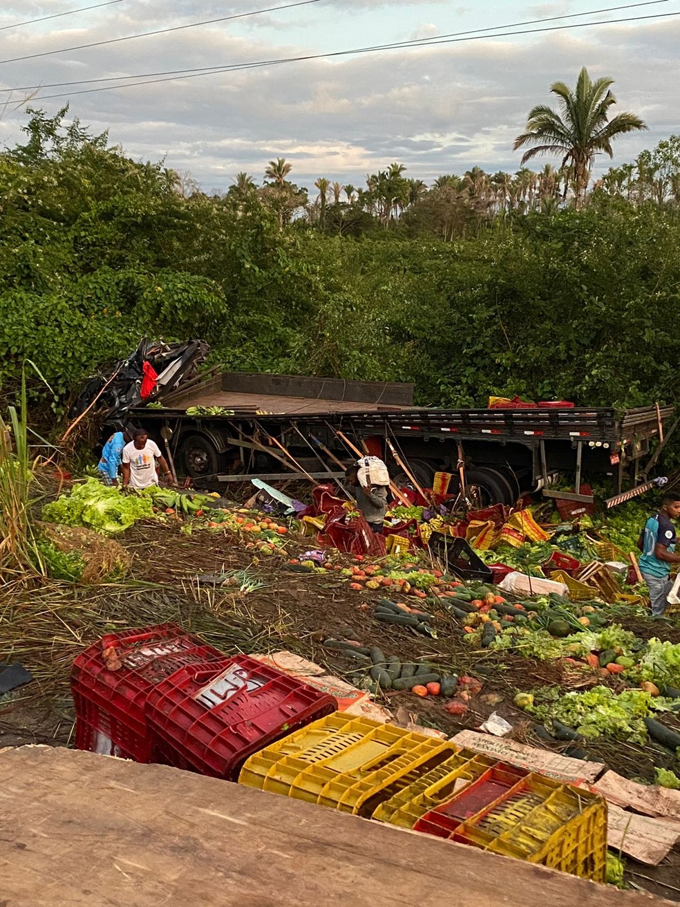 Homem morre após caminhão carregado com verduras capotar na BR-316, no Maranhão — Foto: Redes sociais