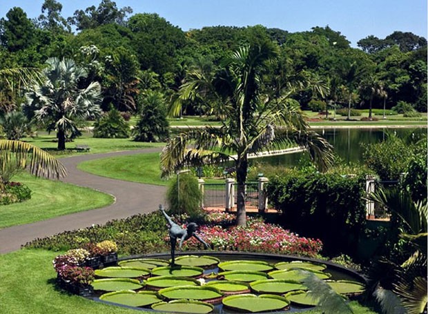 Jardim Botânico Plantarum, Nova Odessa, em São Paulo  (Foto: Divulgação/Jardim Botânico Plantarum)
