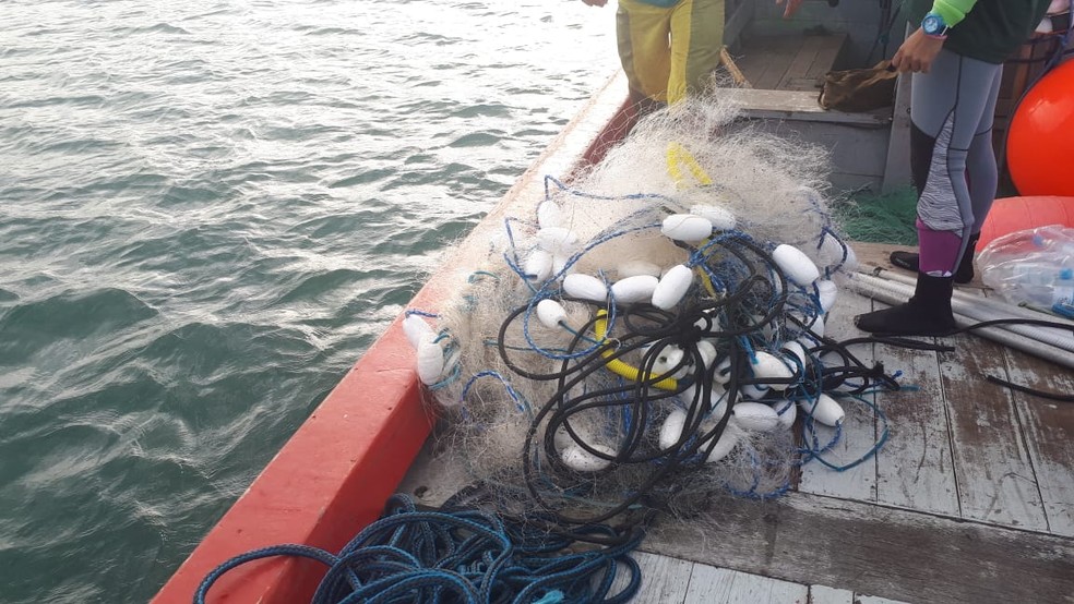 Rede que estava presa a filhote de baleia-franca em Garopaba (Foto: Associação R3 Animal/Divulgação)