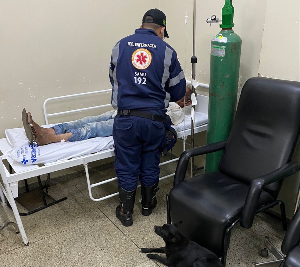 Cachorrinho esperou dono ser atendido em hospital — Foto: Arquivo Pessoal/José Wilker Gonçalves