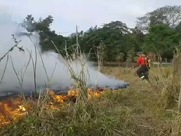 Bombeiros usaram abafadores e bombas costais (Foto: Base Comunitária de Bombeiros/Cedida)