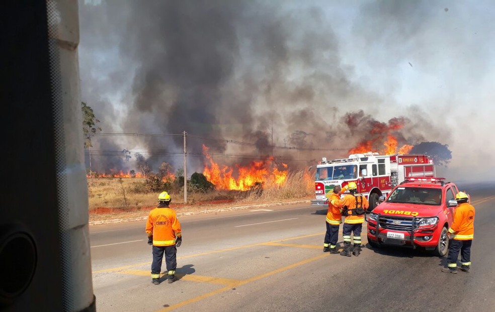 Corpo de Bombeiros combatem chamas em mata próxima à BR-251 no Distrito Federal (Foto: Corpo de Bombeiros/Divulgação)