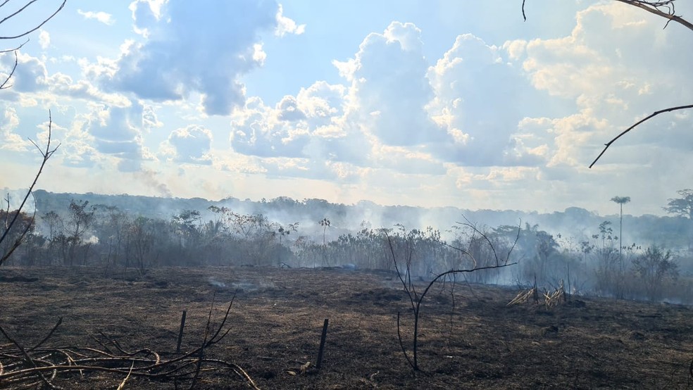 Fogo queimou uma área de 25 hectares na BR-364, em Cruzeiro do Sul — Foto: Arquivo/Corpo de Bombeiros do Acre