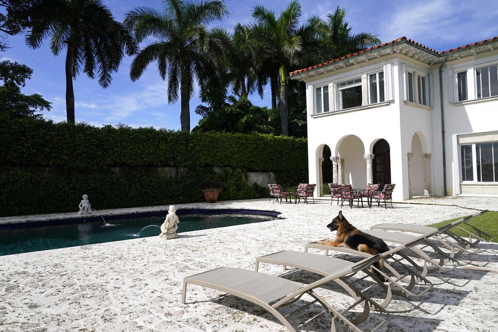 Gunther, o cachorro milionário, na mansão onde vive na Flórida — Foto: Lynne Sladky/AP