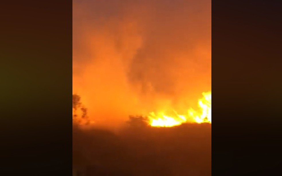 Em Eunápolis, o incêndio atingiu a vegetação do Bairro Jardins, região de alto poder aquisitivo da cidade.  — Foto: Reprodução / Redes Sociais
