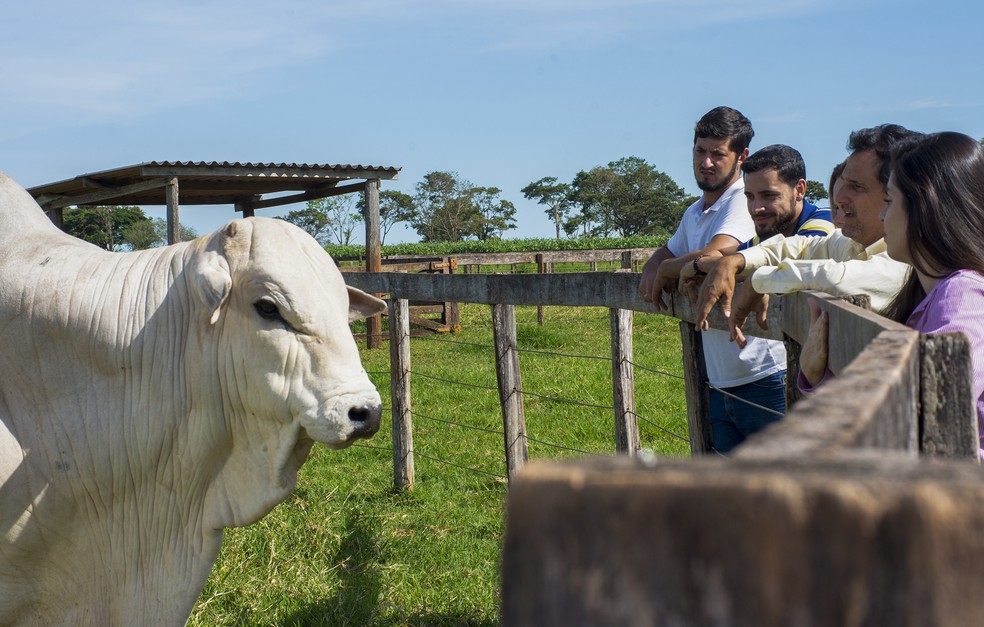 Zootecnia Unoeste é o único curso particular do Brasil com 5 estrelas pelo Guia da Faculdade na área — Foto: Arquivo/Marketing Unoeste