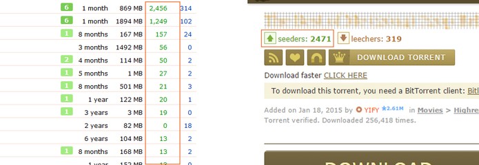 Confira o número de seeders no torrent (Foto: Reprodução/Barbara Mannara)