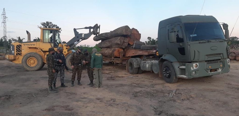 Toras de madeira foram apreendidas durante ação da Operação Verde Brasil 2 — Foto: 17º Brigada de Infantaria de Selva/Divulgação