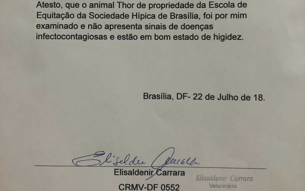 Laudo apresentado pela Hípica de Brasília sobre cavalo que apareceu pintado e rabiscado em imagem (Foto: Reprodução)