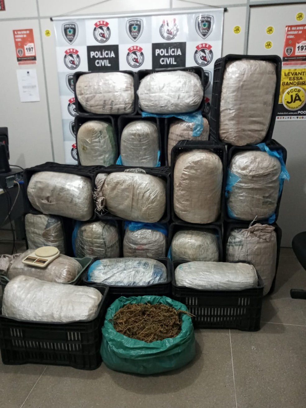 Cerca de 200 quilos de drogas são apreendidos em Campina Grande — Foto: Polícia Civil/Divulgação