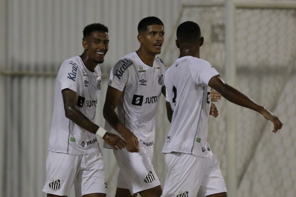 Santos passou pelo Fluminense em Araraquara  — Foto: Santos FC