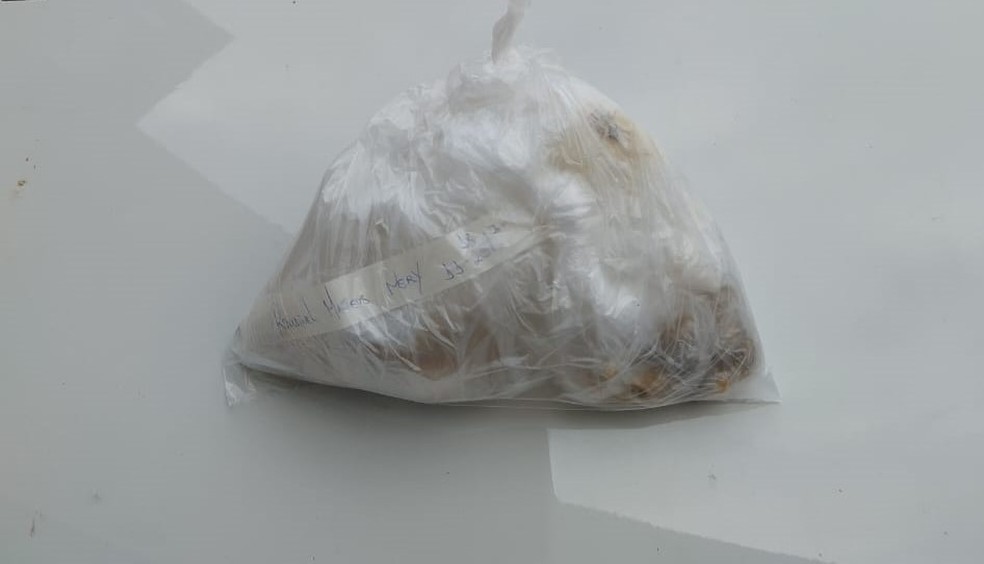 Maconha apreendida com detentos em Muria — Foto: Sejusp/Divulgao