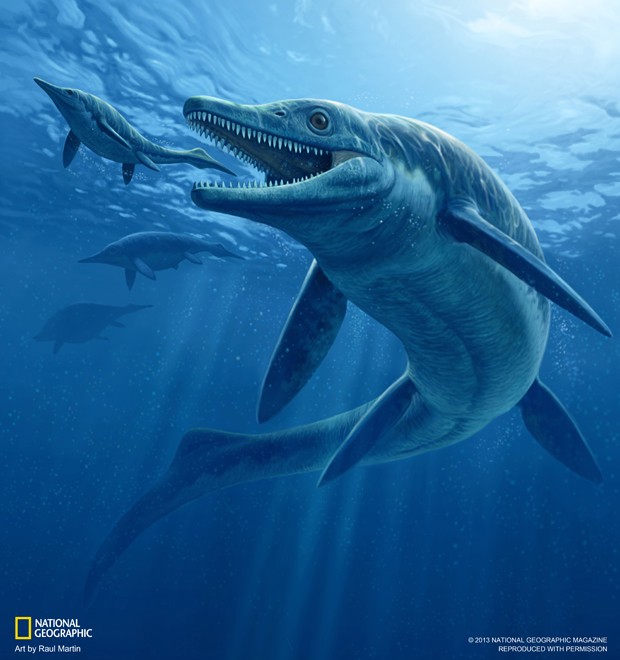 Ilustração mostra como seria o 'Thalattoarchon saurophagis' (Foto: Divulgação/Raul Martin/National Geographic Magazine)