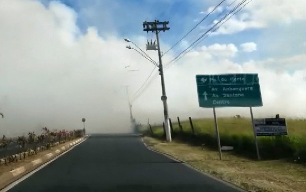 Fogo em mata comprometeu a visibilidade de motoristas em Hortolândia (Foto: Reprodução / EPTV)