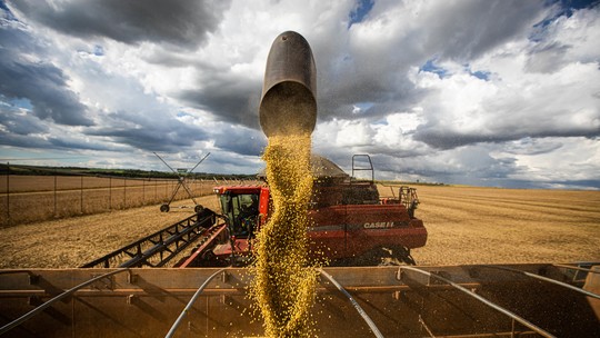 Indústria brasileira de soja sinaliza otimismo para a safra 2022/2023