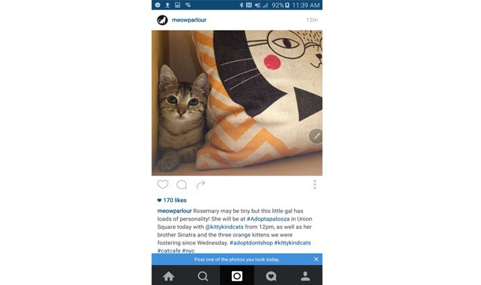 Print mostra sugestão do Instagram para publicar fotos mais recentes (Foto: Reprodução/ The Next web)