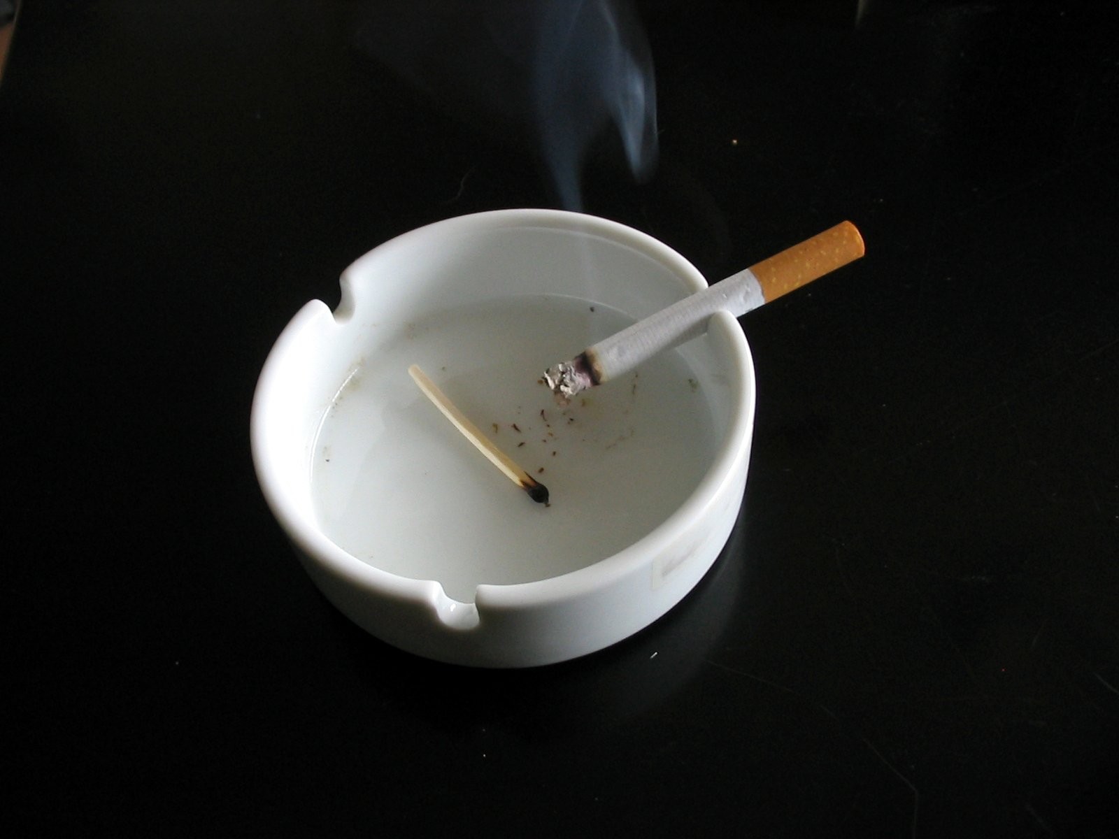 Pesquisa mostra que ratos submetidos ao fumo sofreram danos 