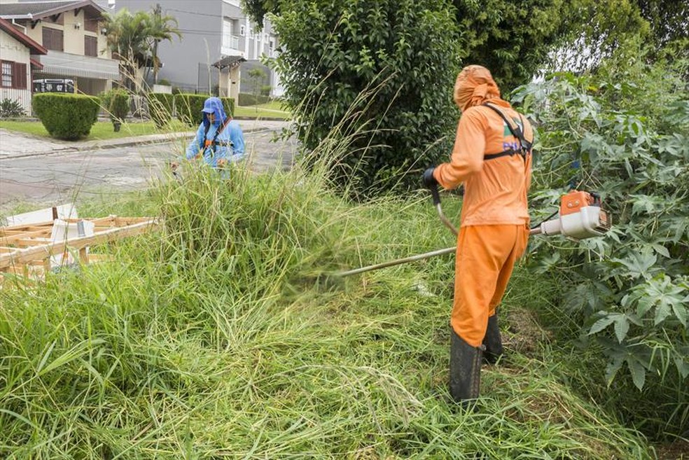 Licitação para serviço de roçadas em Curitiba tem indícios de irregularidades, segundo o MP — Foto: Valdecir Galor/Prefeitura de Curitiba