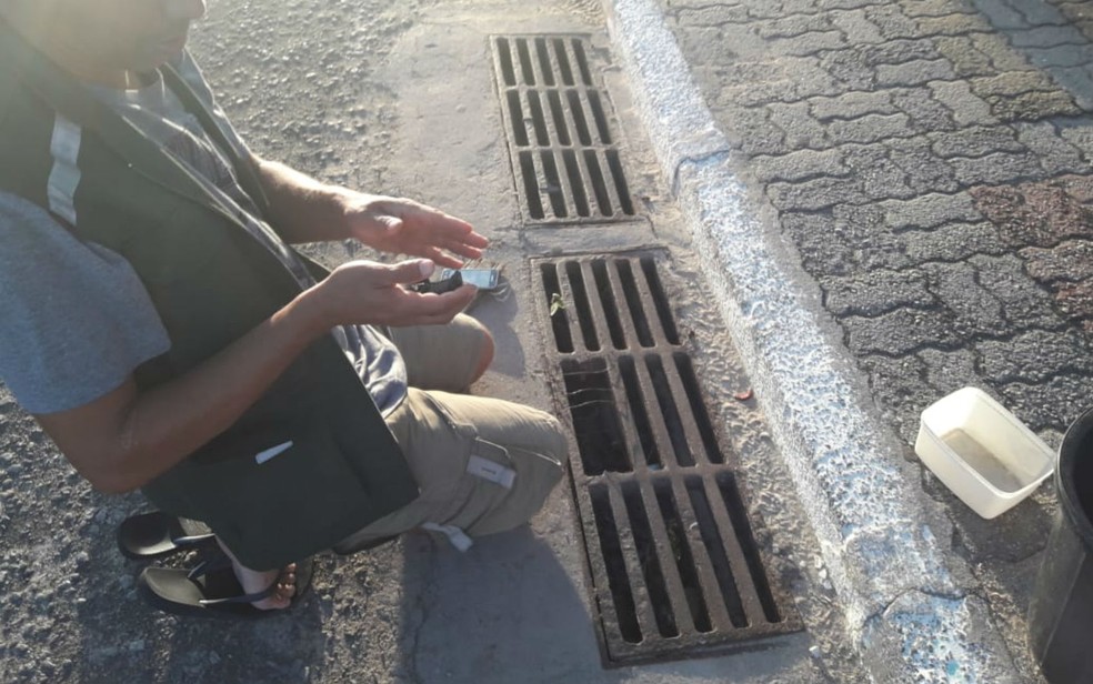 Biólogos resgatam mais de 50 filhotes de tartaruga-cabeçuda de ninho em bueiro, no sul da Bahia — Foto:  Secretária Municipal de Meio Ambiente de Mucuri