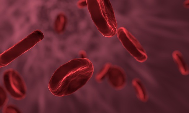 Cientistas conseguiram pela primeira vez transformar sangue do tipo A em sangue de doador universal (Foto: Pixabay)