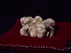 Trufa branca de 900 gramas é vendida R$ 408 mil em leilão na Itália