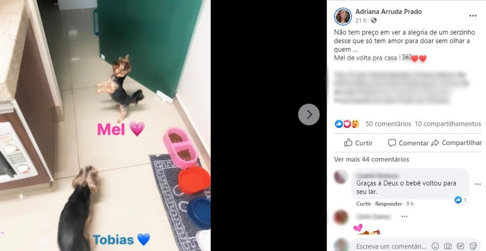 Adriana Arruda Prado, cunhada da empresária dona dos cães, festejou na web a volta dos pets ao lar — Foto: Facebook/Reprodução