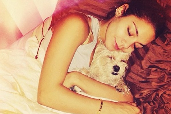 Recentemente Vanessa Hudgens adotou a cadelinha Darla, que foi resgatada por uma das amigas da atriz, Lori. 