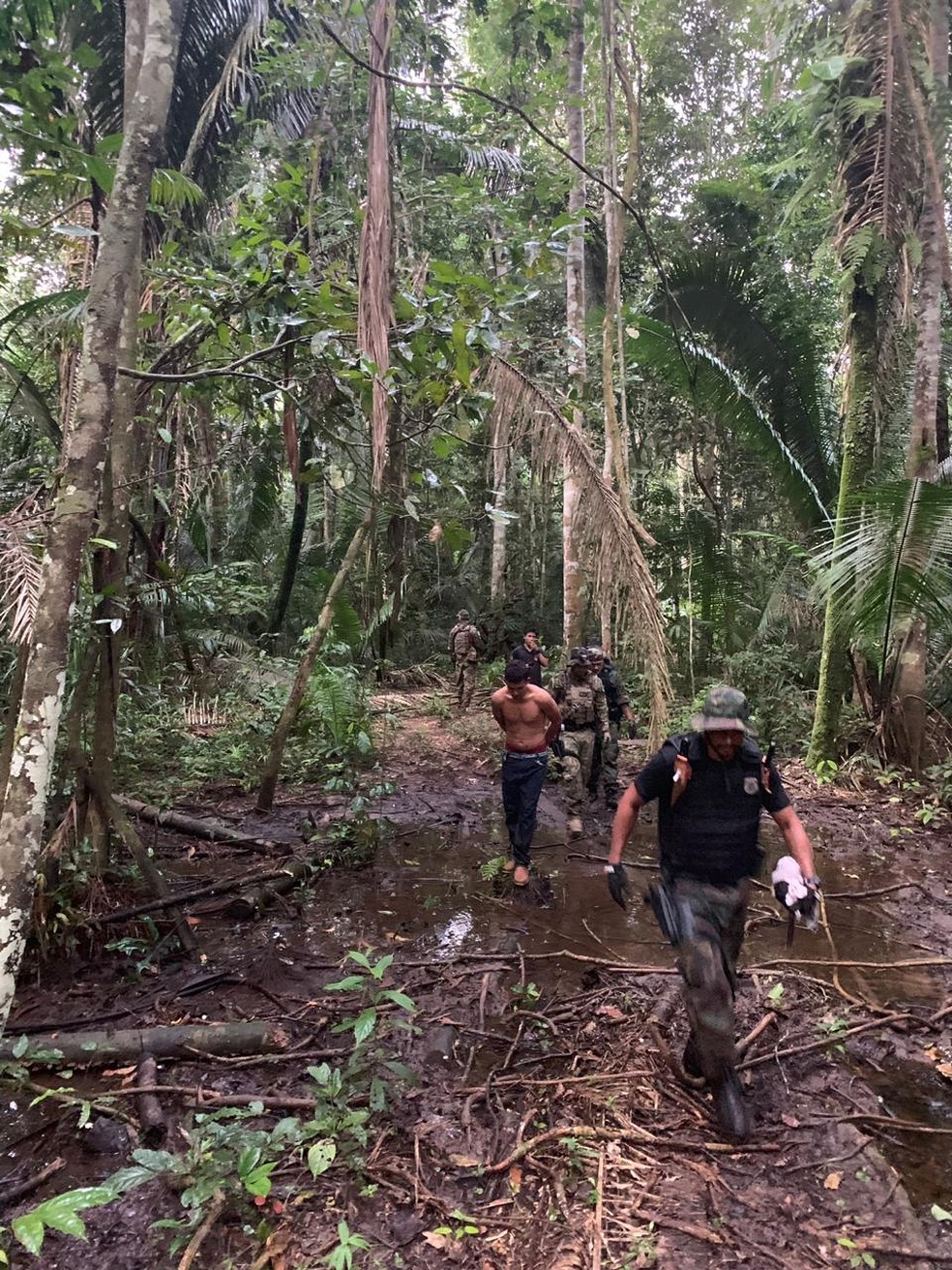 Picada foi aberta por invasores em aldeia de Rondônia — Foto: PF/Divulgação