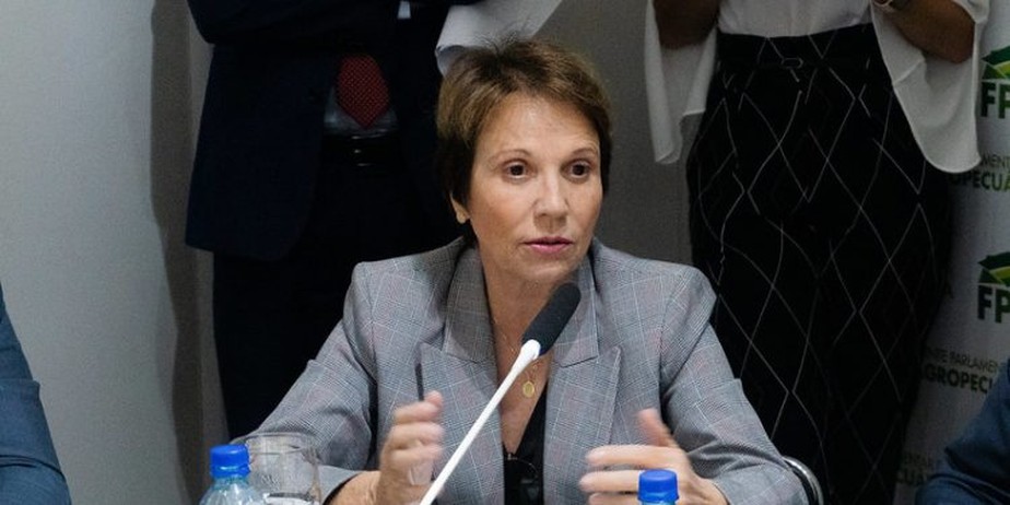 Senadora Tereza Cristina diz que MST tem que se entender com o governo, mas que invasões de terra devem ser tratadas com firmeza