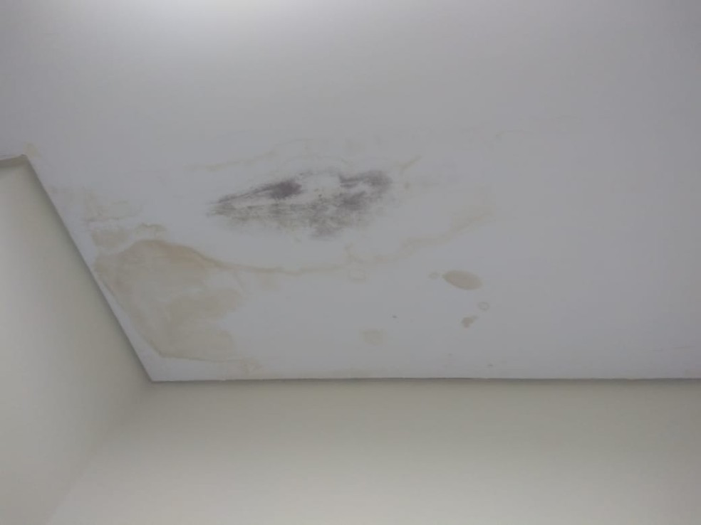 Mofo Ã© visto em teto de sala de atendimento do Hospital das ClÃ­nicas (Foto: Wanderli Ferreira/Arquivo pessoal)