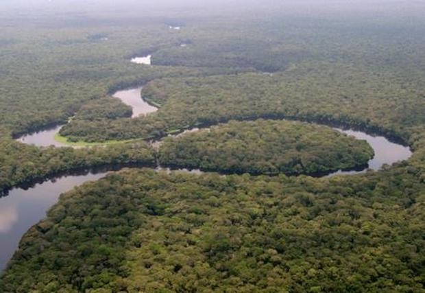  Floresta do Congo no Parque Nacional de Salonga, na República Democrática do Congo (Foto: Radio Okapi / Wikimedia Commons / CreativeCommons)