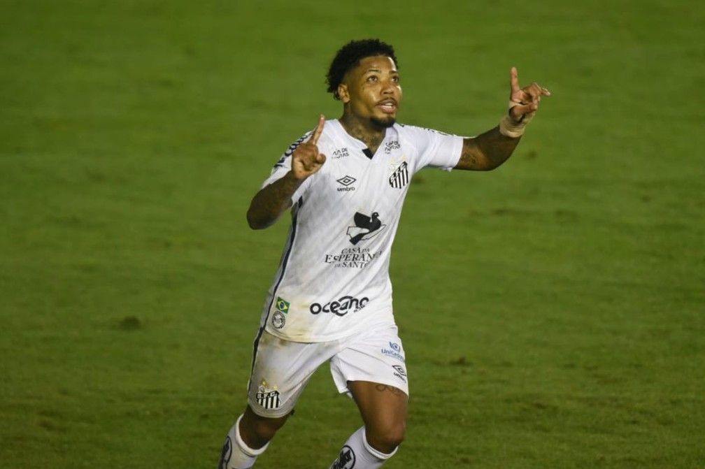 Marinho comemora gol pelo Santos — Foto: Santos