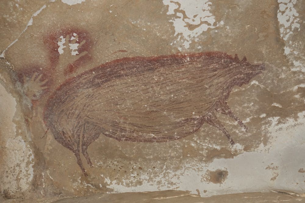 Mais antiga pintura rupestre de animal é encontrada na Indonésia (Foto: Brumm et al./Science Advances 2021)