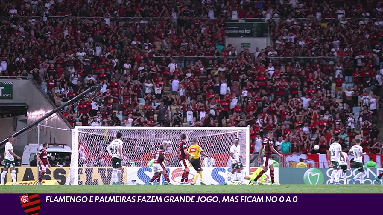 Flamengo e Palmeiras fazem gra nde jogo, mas ficam no 0 a 0
