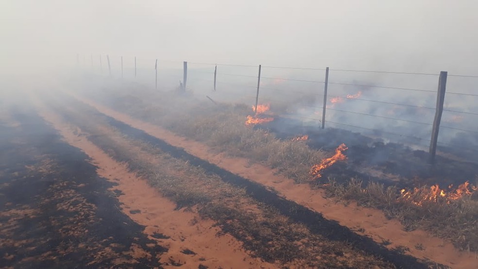 Incêndio na SP-284, em Martinópolis — Foto: Defesa Civil