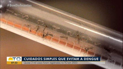Tocantins registra quase três mil casos de dengue em 2023