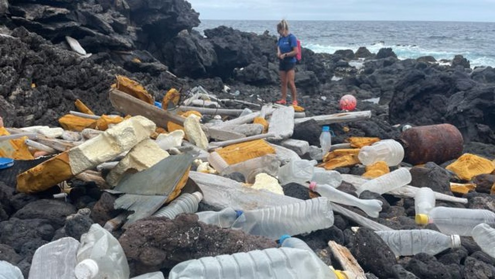 "O plástico é um material ótimo, mas ele nunca vai embora", diz Fiona Llewellyn — Foto: ZSL, ALICE CHAMBERLAIN/via BBC