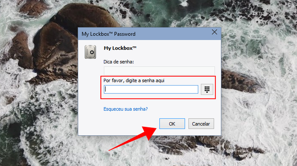 Digite a senha de acesso do My Lockbox (Foto: Reprodução/Paulo Alves)
