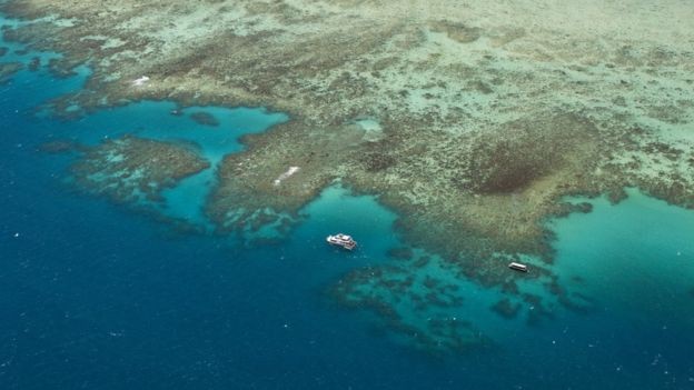 A Grande Barreira de Corais se estende por 2.300 km ao longo da costa de Queensland (Foto: GETTY IMAGES/BBC News Brasil)