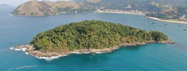 Ilha de quase 125 mil metros quadrados está à venda por R$ 55 milhões — Foto: Reprodução