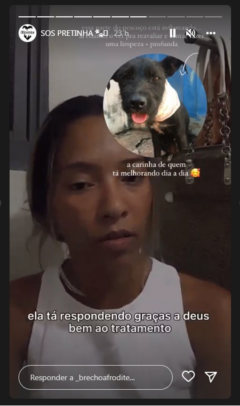 Moradores organizaram uma rifa para ajudar nas despesas da recuperação da cachorra em Jaú — Foto: Reprodução/Redes sociais