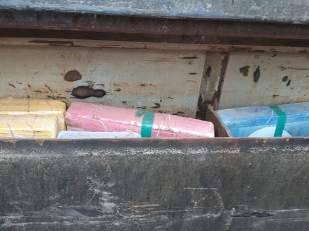 Entorpecentes foram apreendidos durante ação na rodovia Raposo Tavares (Foto: Divulgação/Polícia Federal)