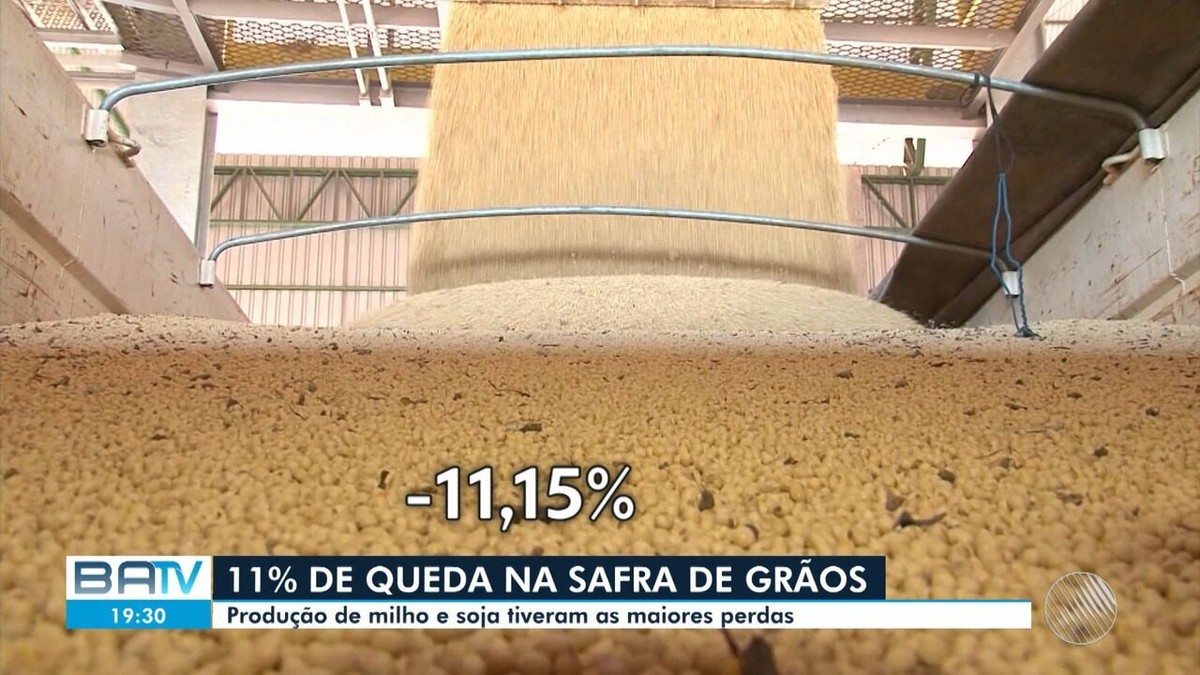 Safra de grãos tem queda de 11% na Bahia, diz IBGE
