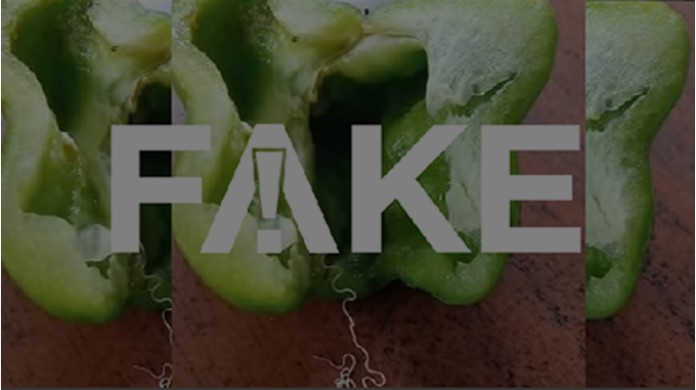 E Fake Que Novo Verme Chamado Simla Mirch Esteja Contaminando Pimentoes No Brasil Fato Ou Fake G1