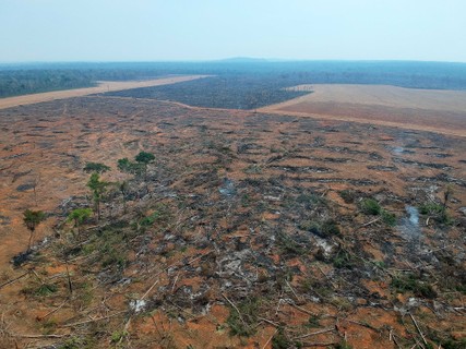 Área desmatada recentemente no Pará.