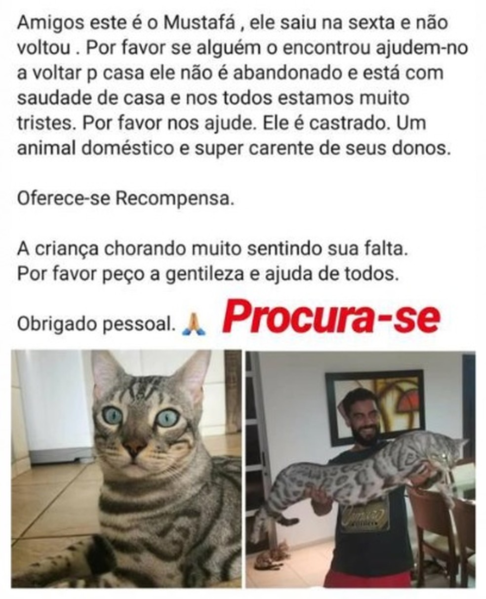 MustafÃ¡ estÃ¡ desaparecido â Foto: ReproduÃ§Ã£o