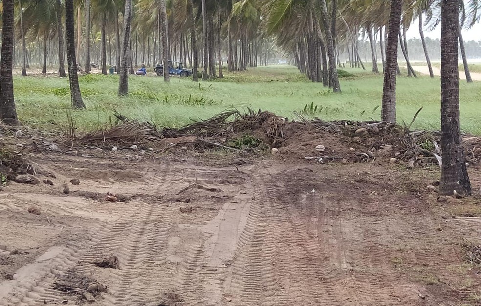Área de restinga, em Maracaípe, em Ipojuca, no Litoral Sul, teve vegetação retirada pela prefeitura para obra de quadra  — Foto: Salve Maracaípe/Divulgação